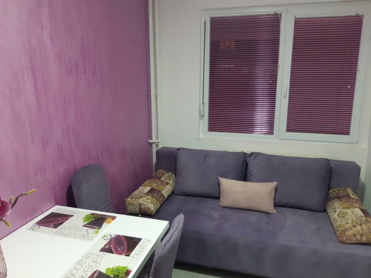 Apartment No. 5 Čačak 外观 照片